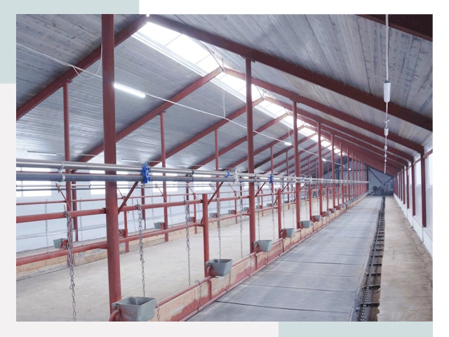 Строительство коровников в Кизляре от 610 руб.